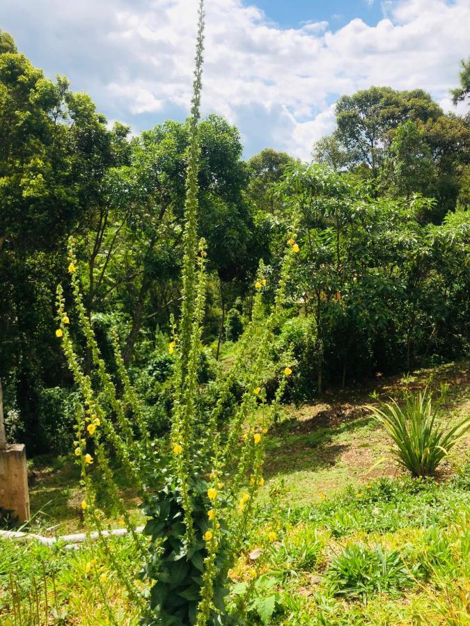 All Green Residence Monte Verde  Ngoại thất bức ảnh